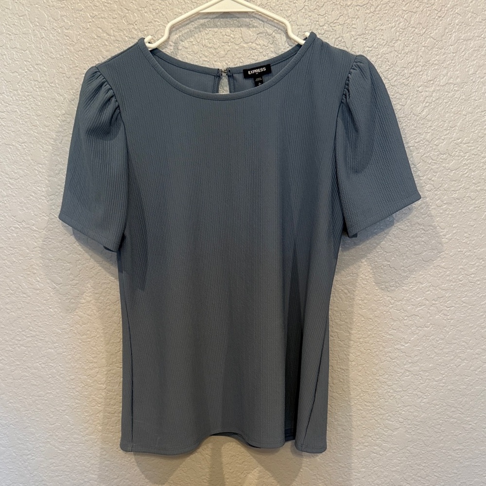 Express puff sleeve Women's Blue Top